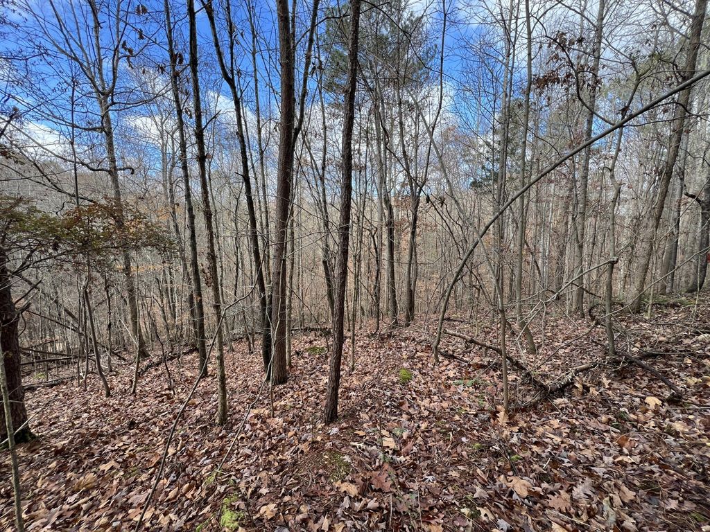 0 Smyrna Road, Evensville