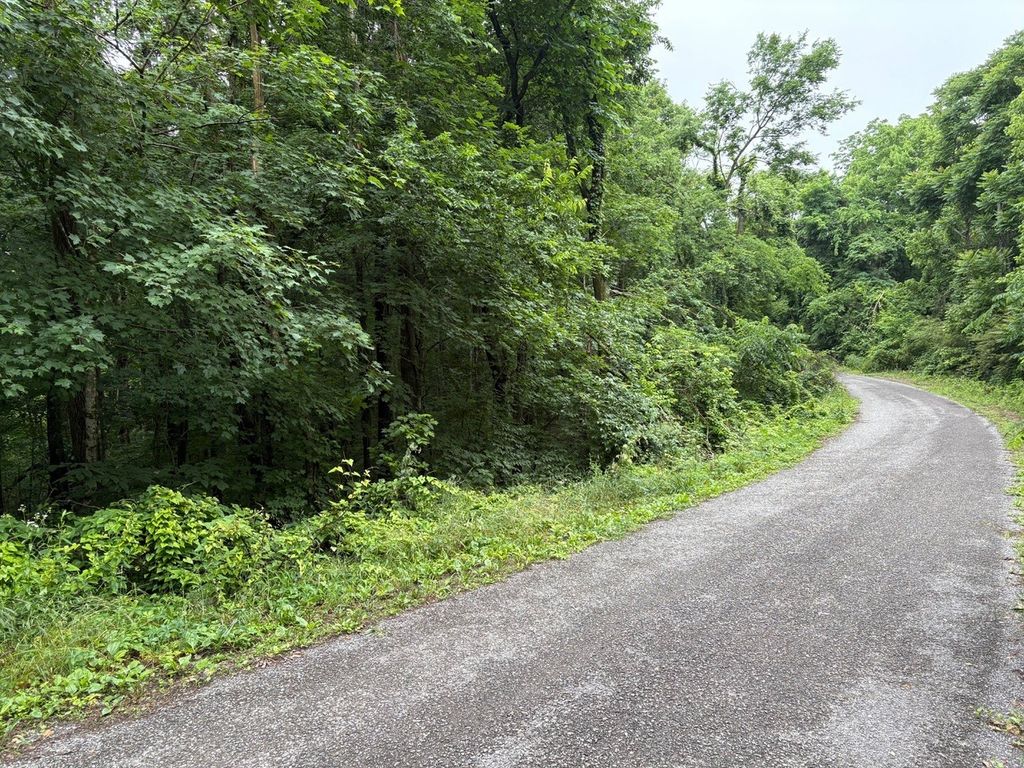 0 Ivy Hollow Rd, Mount Pleasant