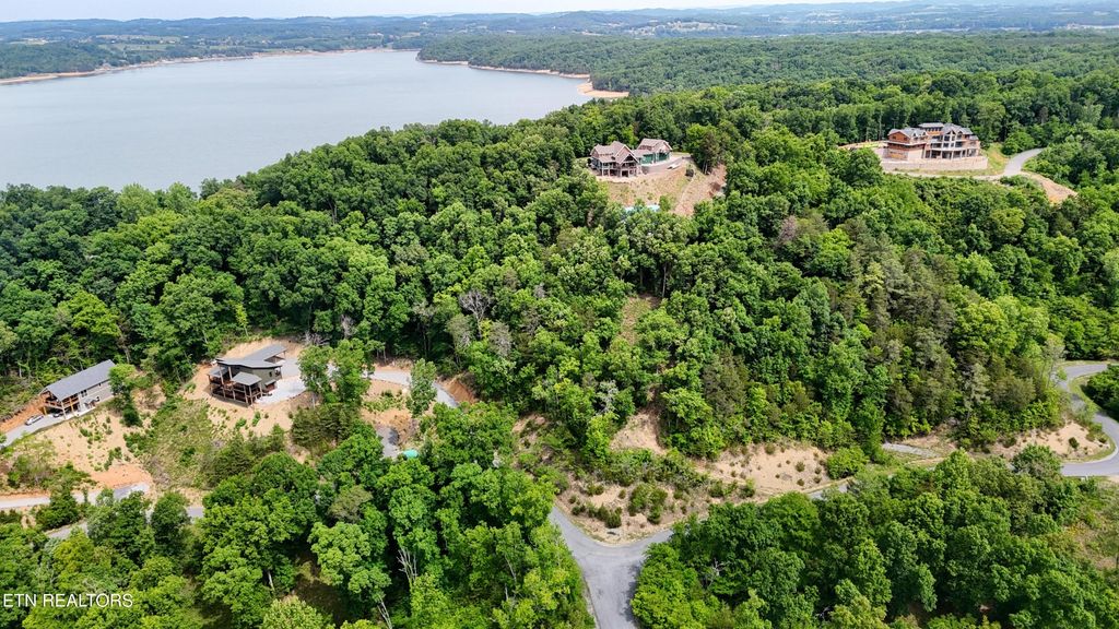 78 Stone Bridge Drive, Dandridge