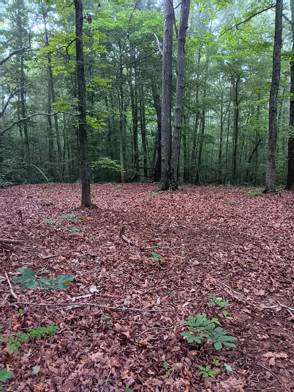 0 Logger Lane, Cedar Grove
