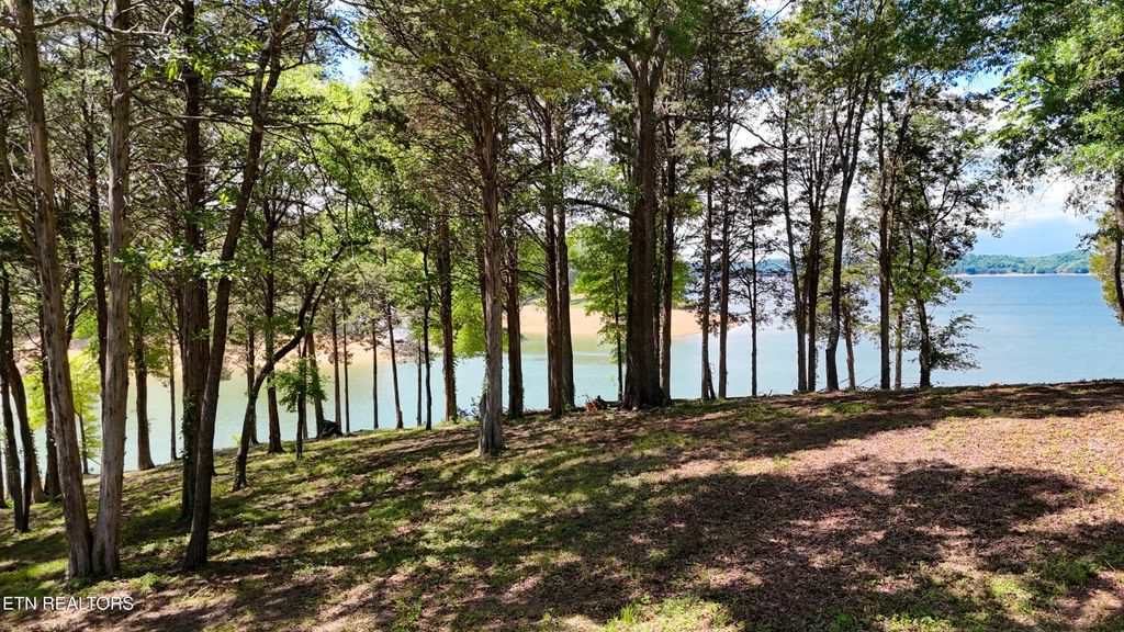 123 Ridge Point Tr, Dandridge