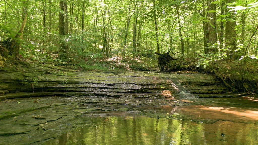 8218 Old Pond Creek Rd, Nashville