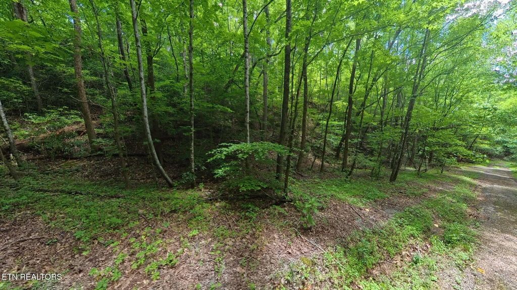 195 Sherwood Lane, Harriman