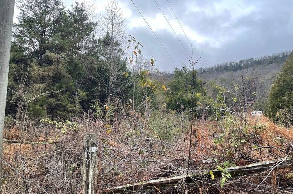 0 Reagan Valley Road, Madisonville