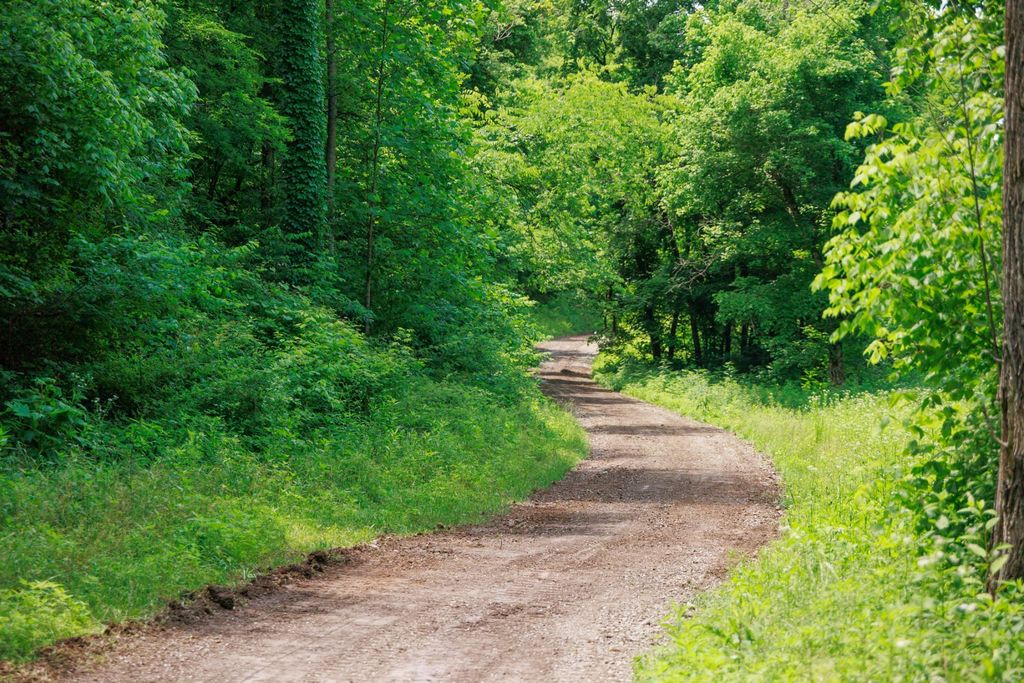 582 Cedar Bend Rd, Beechgrove