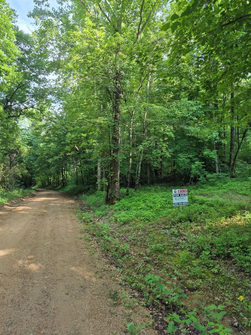 0 Co Rd 462, Lexington