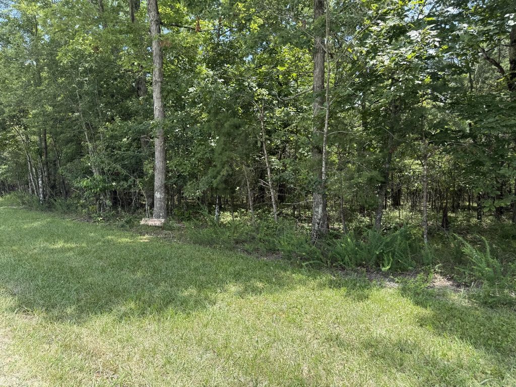 0 Long Branch Rd, Spencer