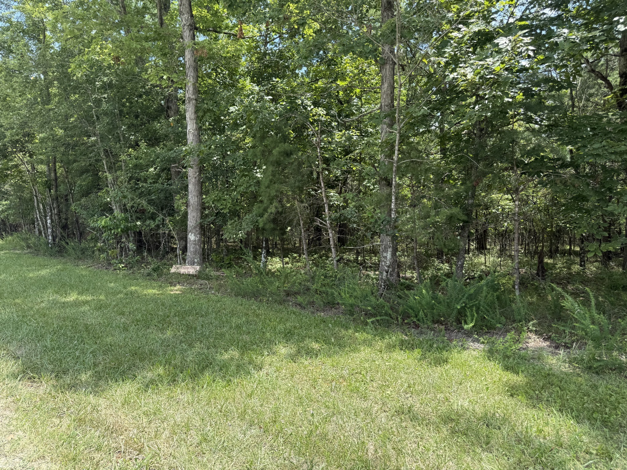 Photo of Listing #3229114