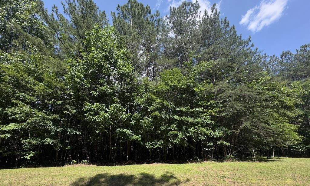 0 Hickory Nut Trl, Spencer