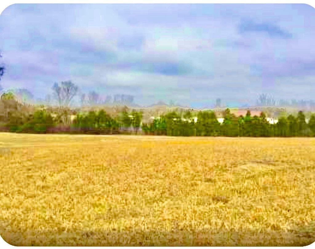 0 N Old Mt Juliet Rd, Mount Juliet