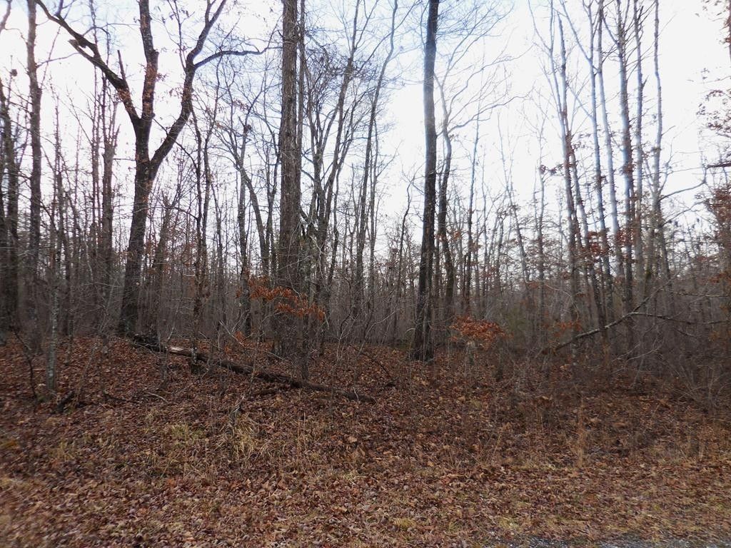 3008 Diego Drive, Crossville