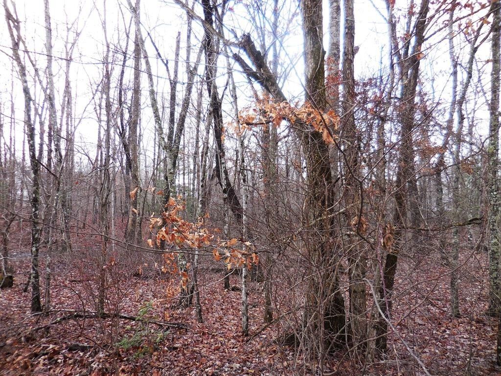 1143 Natchez Trace, Crossville