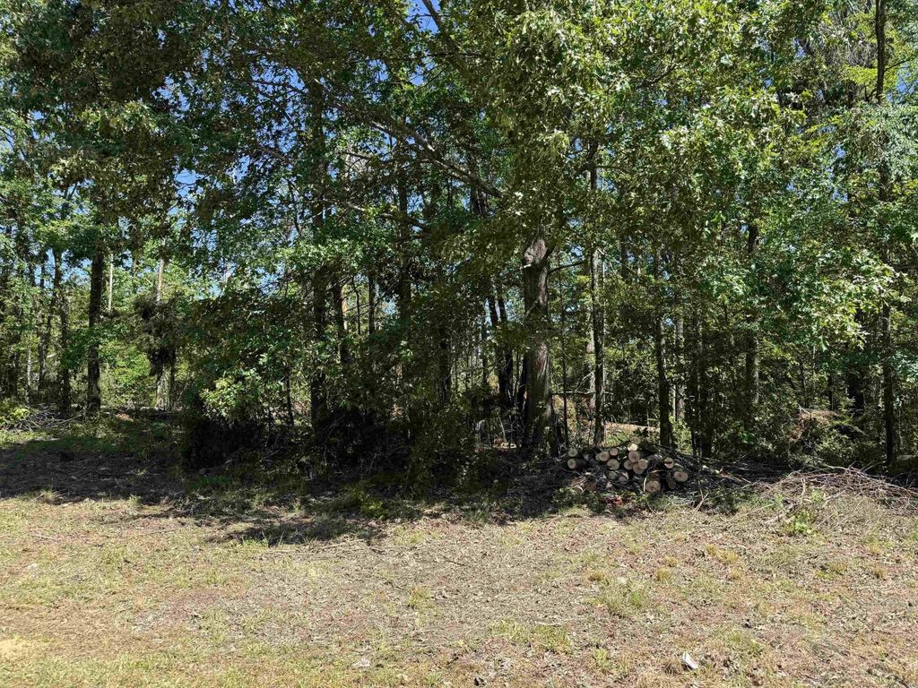 0 Clement Dr, Savannah