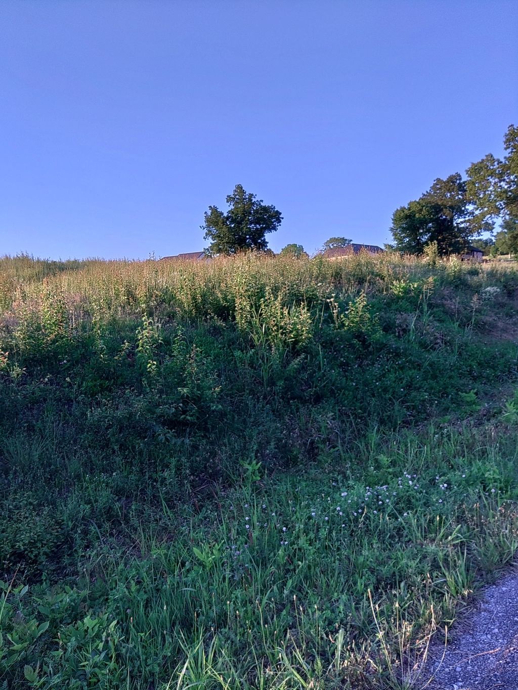 0 Collins Run, Mc Minnville