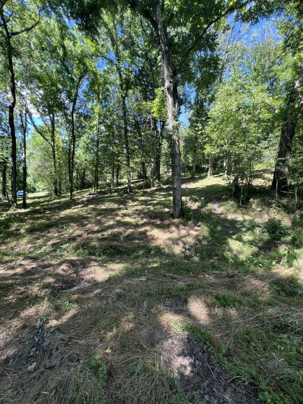 0 Horseshoe Bend Ln, Elmwood