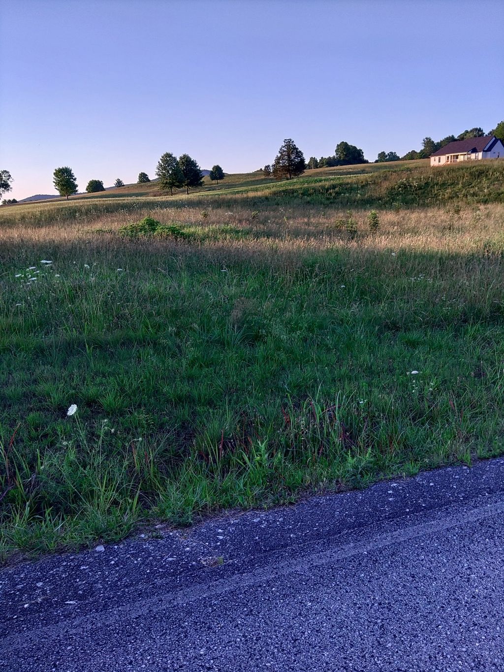 0 Collins Run, Mc Minnville