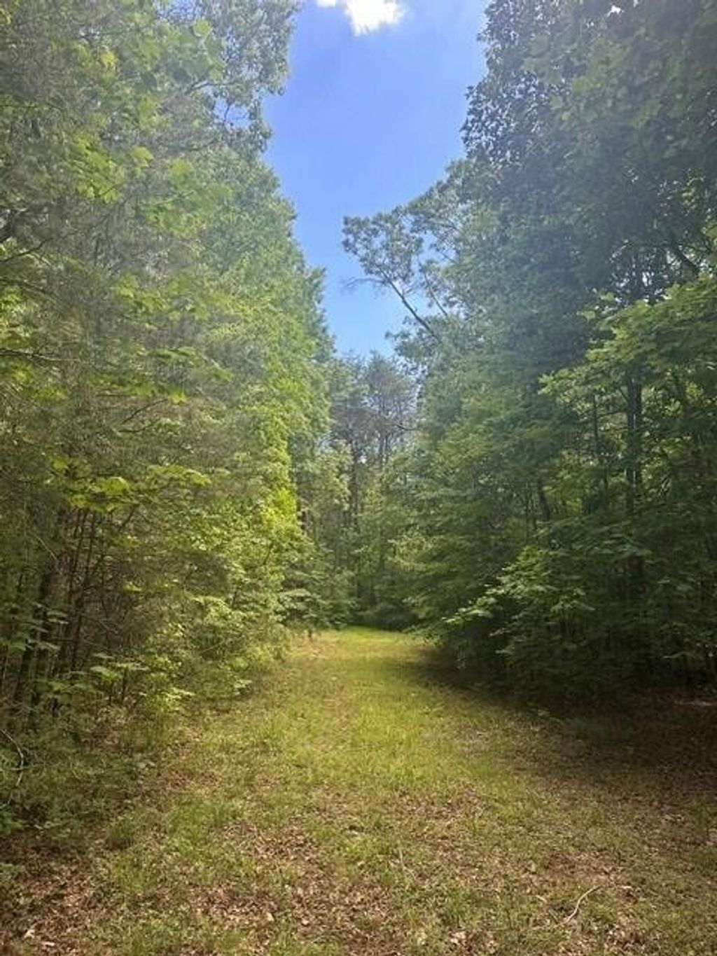 43 Bluffs Woods, Altamont