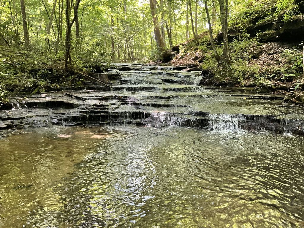 0 Fergus Ln, Tullahoma