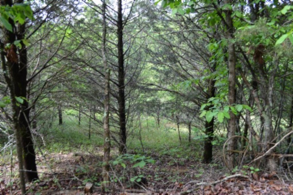 0 Circle Road, Burkesville