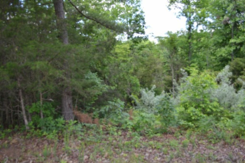 0 Beauchamp Rd, Burkesville