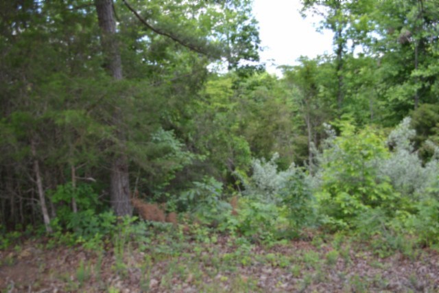 Photo of Listing #3231275