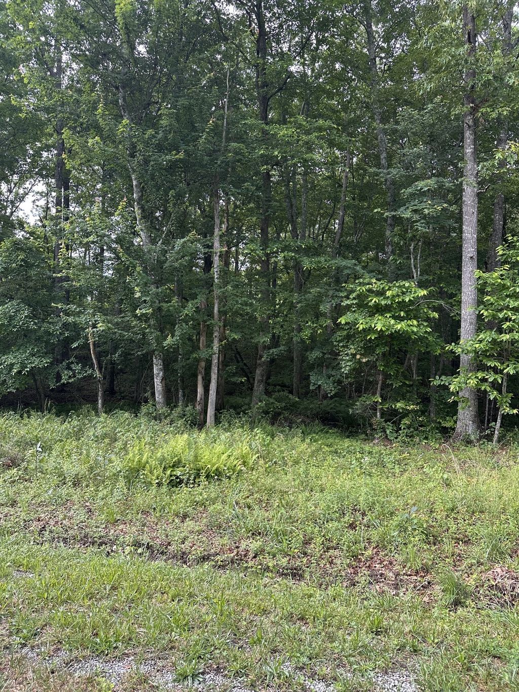 3031 Shawnee Rd, Crossville