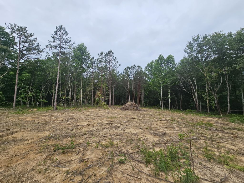 229 Windstone Drive, Tracy City