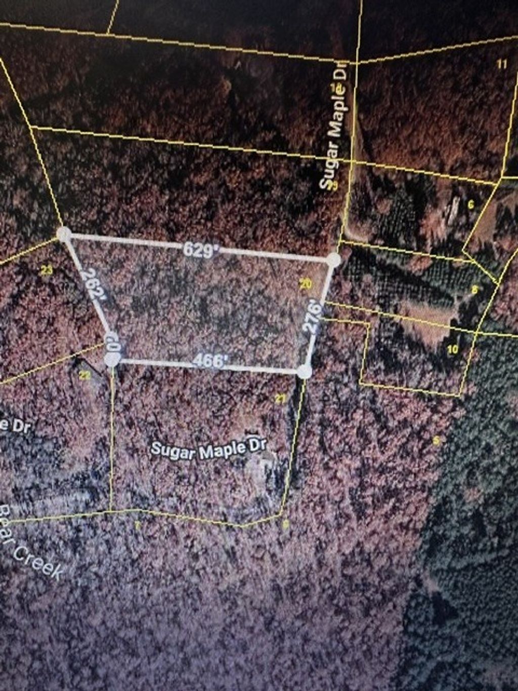 20 Sugar Maple, Dover