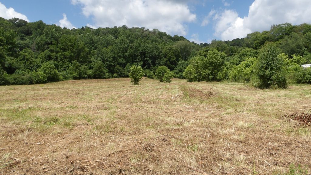 0 Lonnie Reecer Rd, Celina