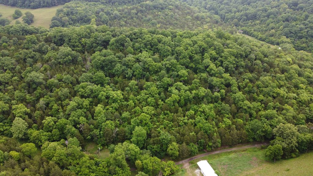 32 Patterson Ln, Pleasant Shade