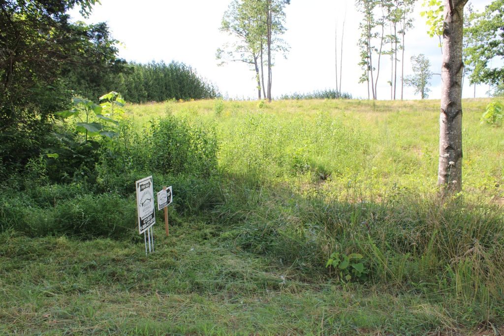 0 Long Mountain Rd, Mc Minnville