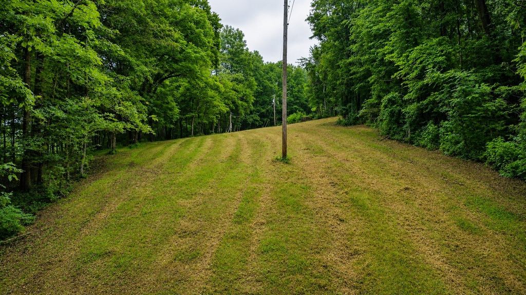 1299 Dixon Town Rd, Prospect