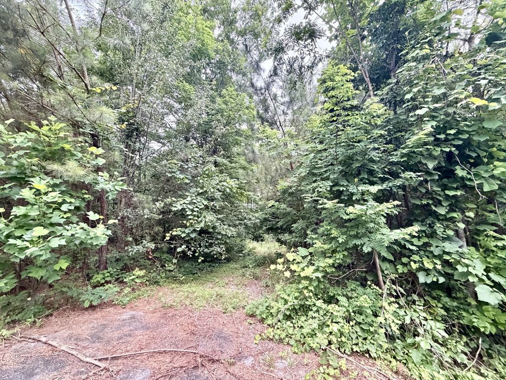 0 Cobbler Ridge Road, Franklin