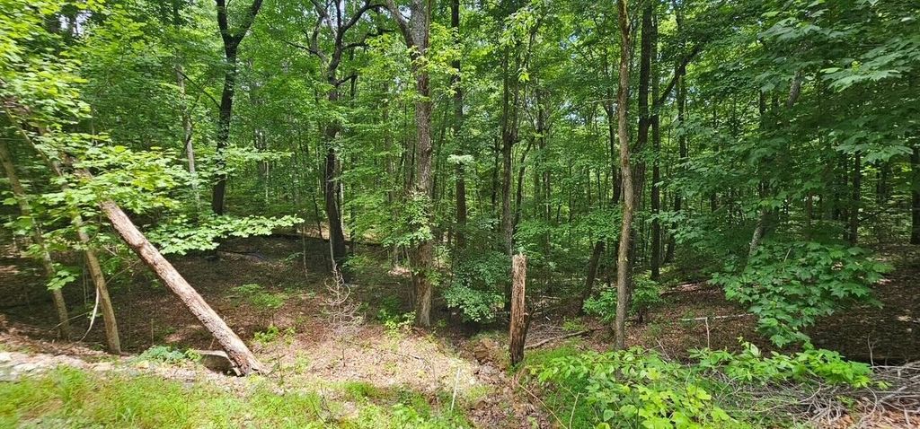 555 Oak Leaf Lane, Dunlap