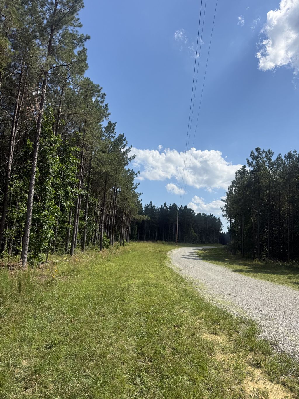 251 Fox Ridge Rd, Hohenwald