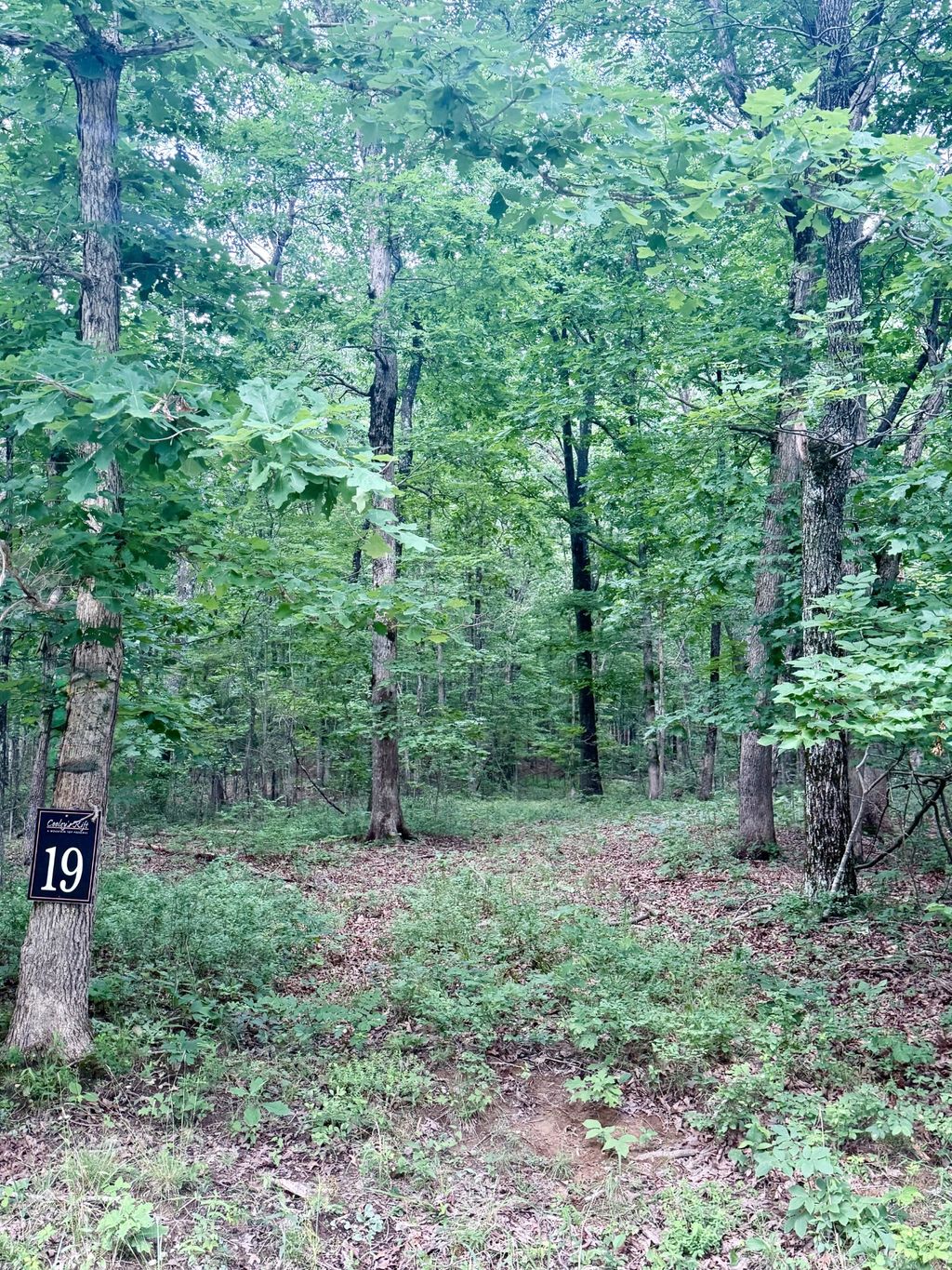 0 Deep Woods Road, Sewanee