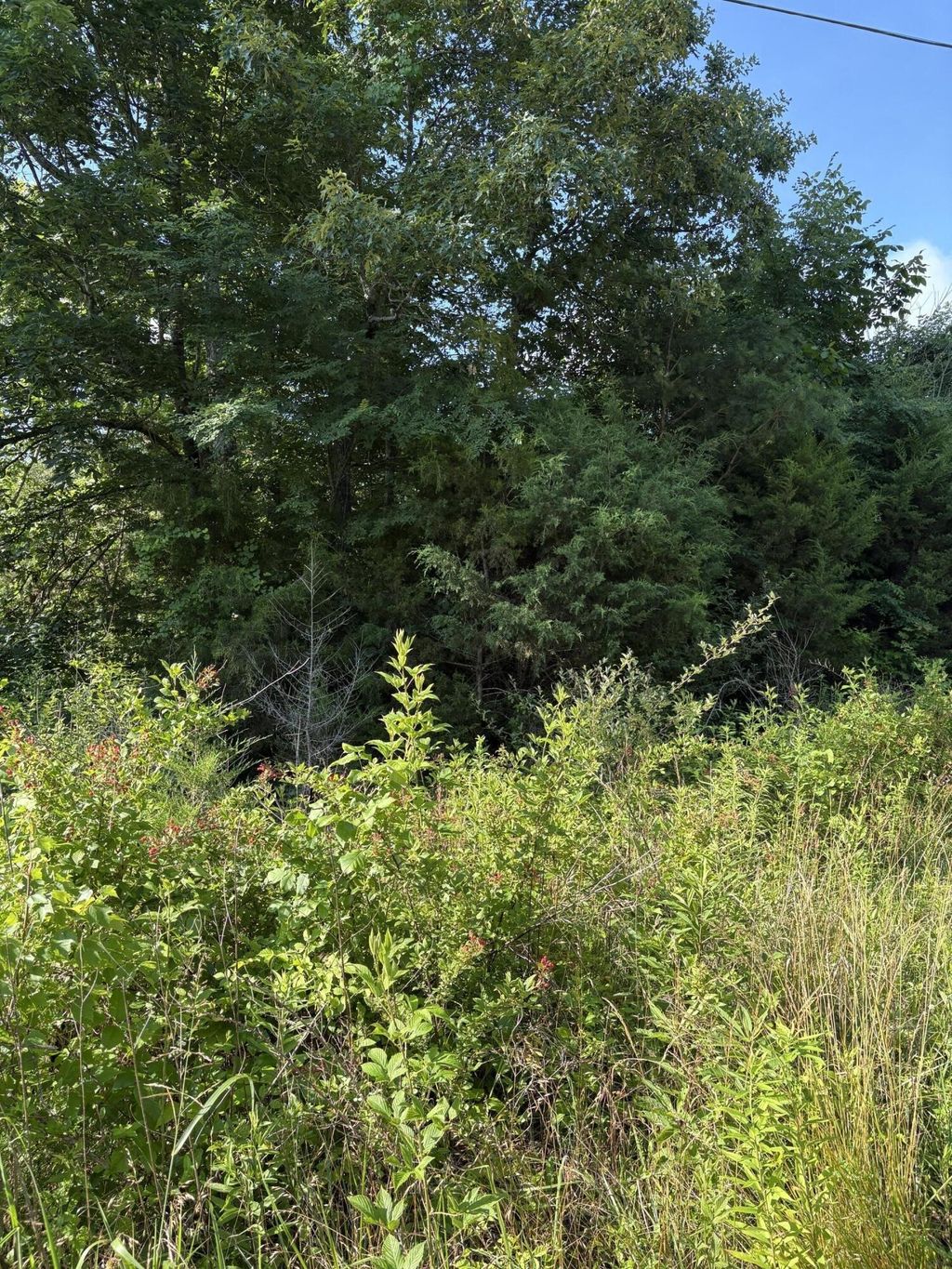 6 Saffles Lane, Madisonville