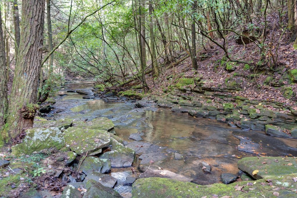 308 Timberwood Trc, Monteagle