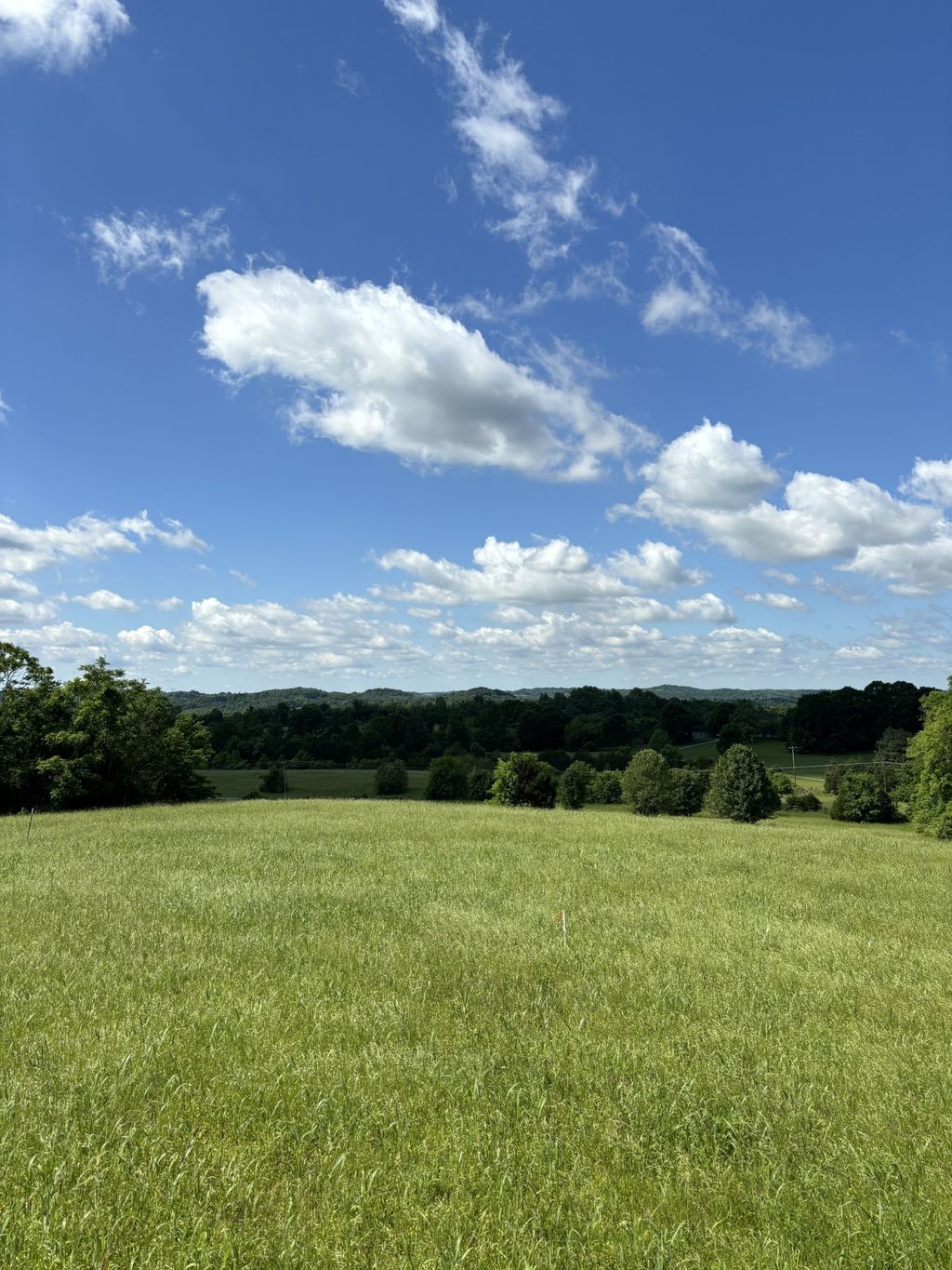 1065 Bugscuffle Road, Wartrace