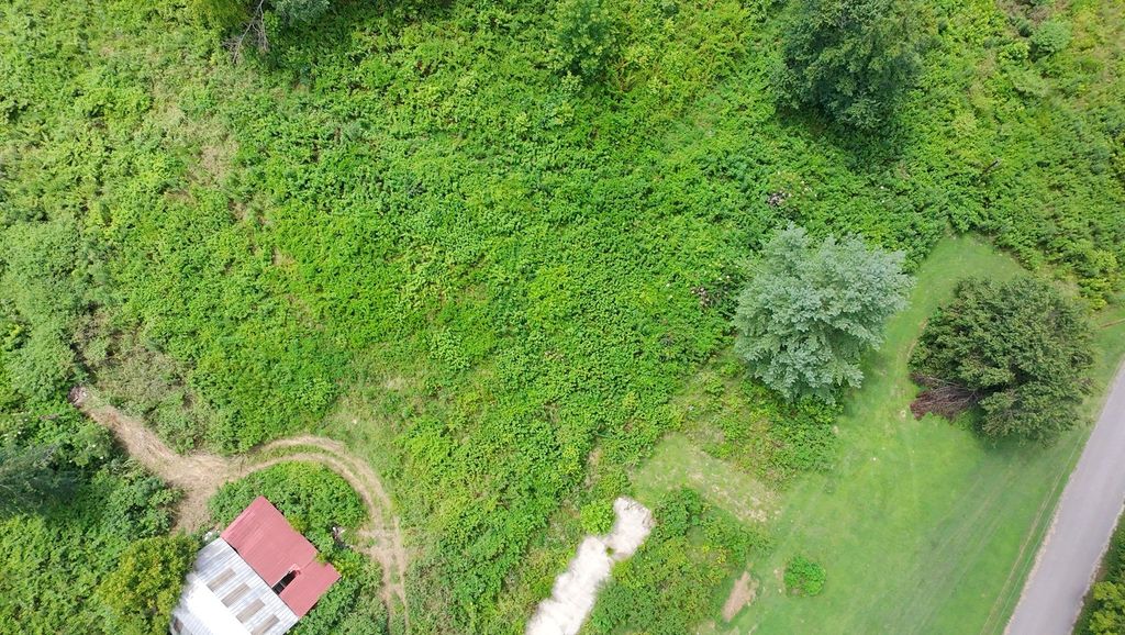 440 Big Spring Hollow Rd, Pulaski