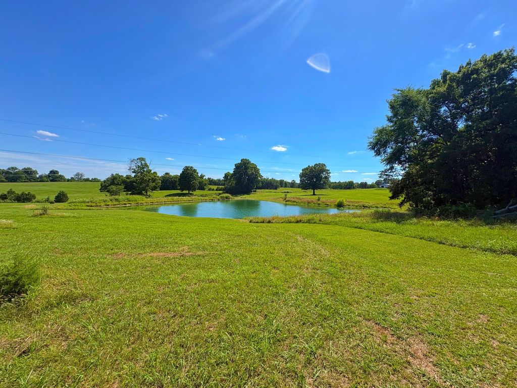 485c Canoe Branch Rd, Castalian Springs