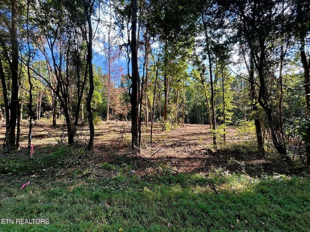 55 Pleasant Hill Road, Ten Mile