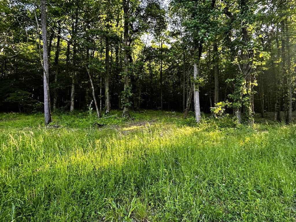 9 Pleasant Hill Road, Ten Mile