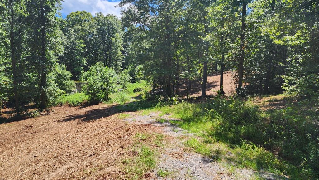 375 Goins Hill Road, Ten Mile
