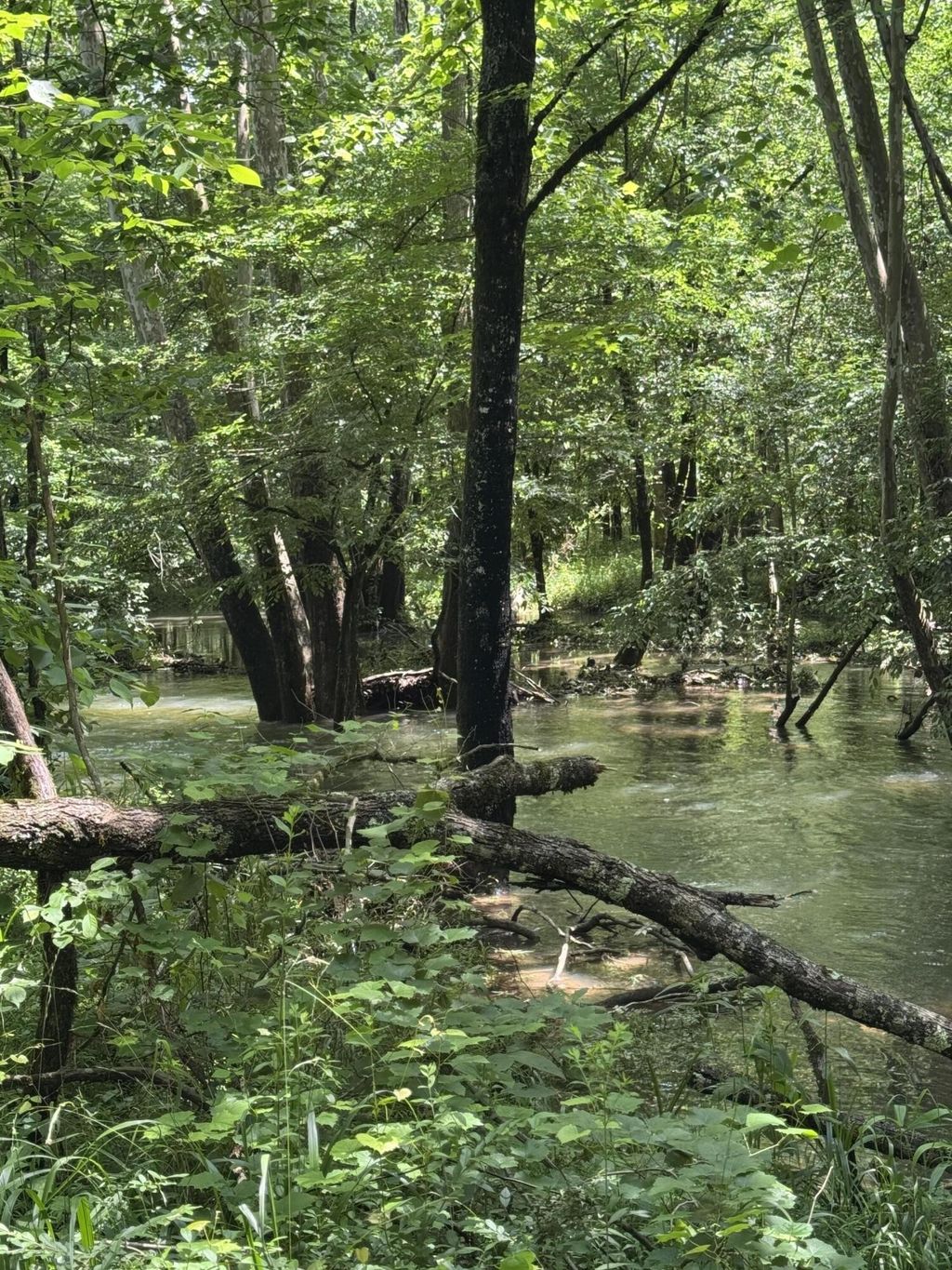 2784 Fiery Gizzard Road, South Pittsburg