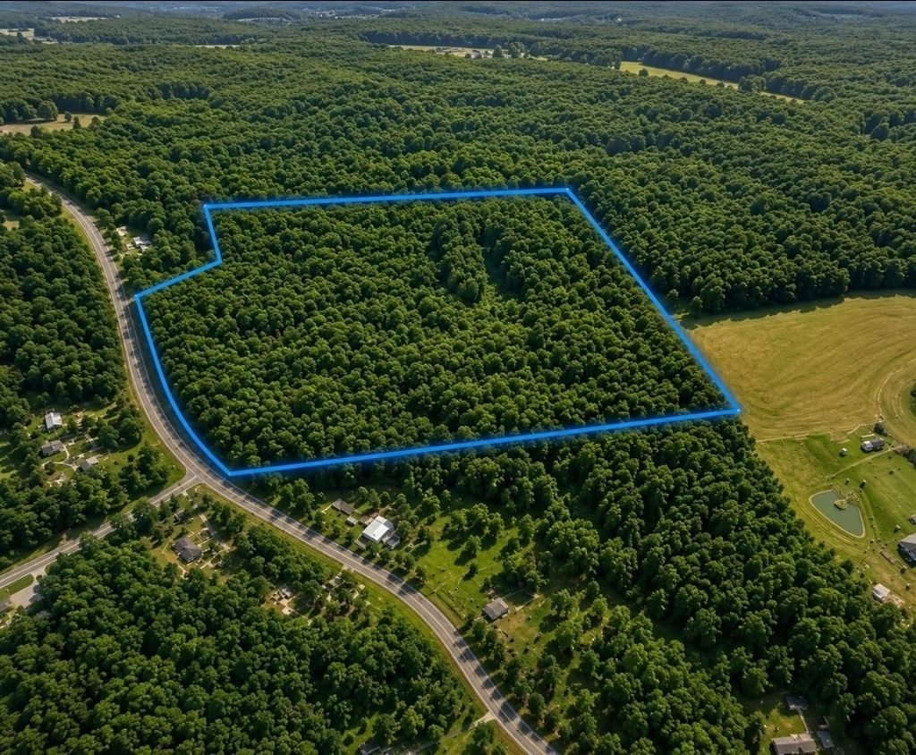1 Vale Mckenzie Rd, Hollow Rock