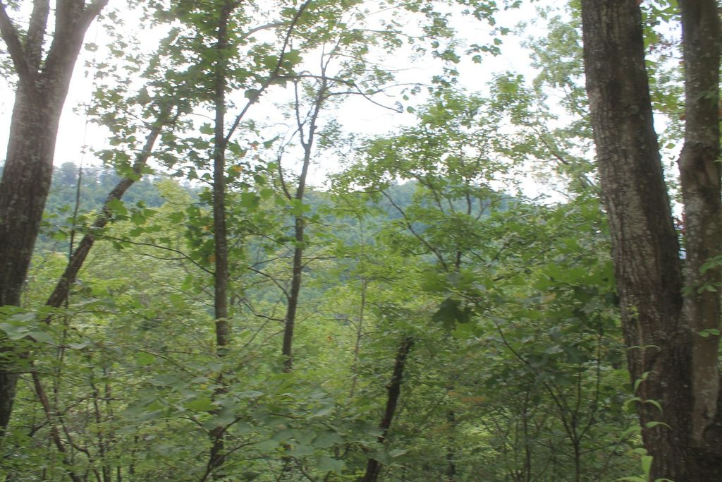3 Straight Fork Road, Huntsville