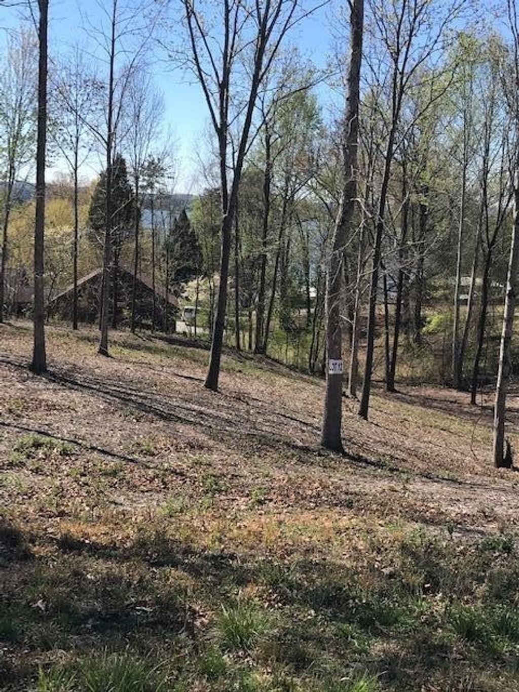 12 Piney View Drive, Spring City