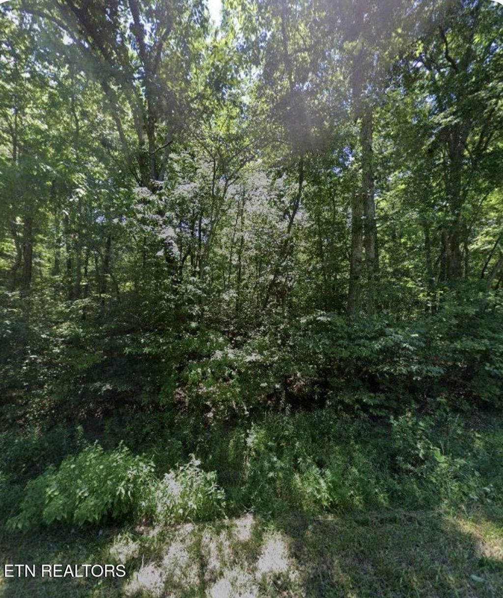 6115 Pocahontas Lane, Crossville