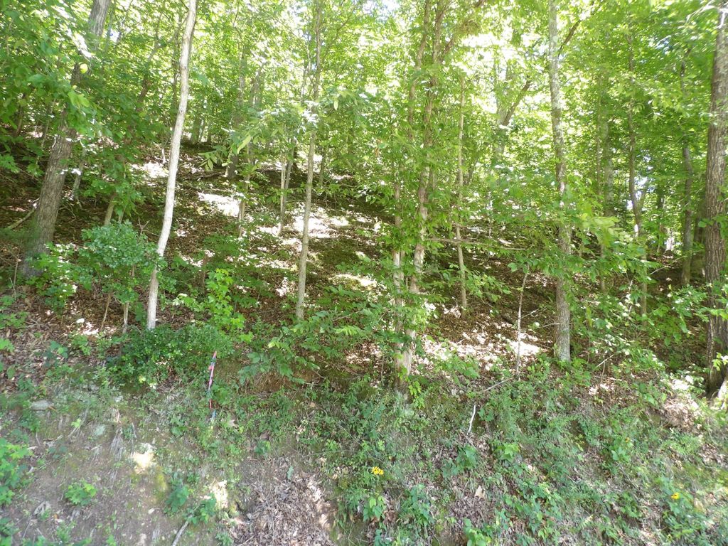 587 W Little Richland Rd, Waverly